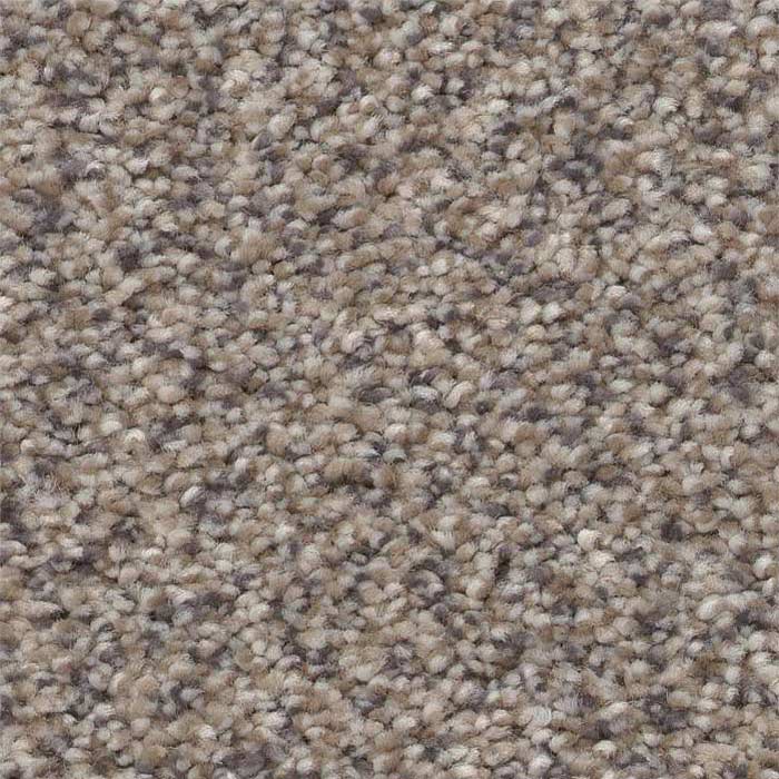 Concrete Carpet Swatch