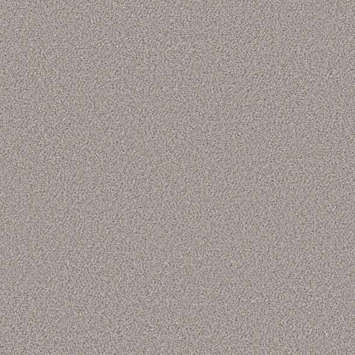 Gallery Carpet Swatch