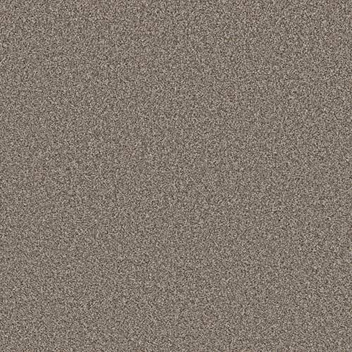 Stainless carpet swatch