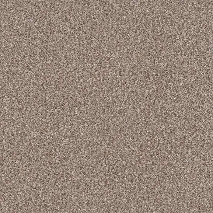 Paraffin Carpet Swatch