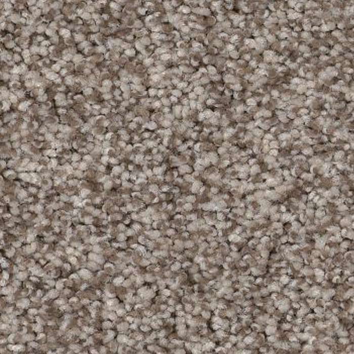 Pashmina Carpet Swatch