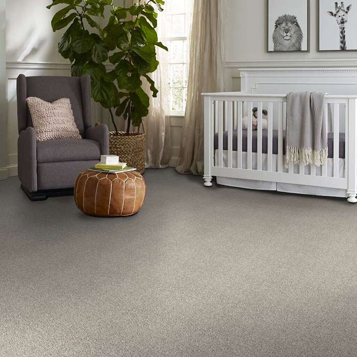 Stone Path Carpet Room Scene