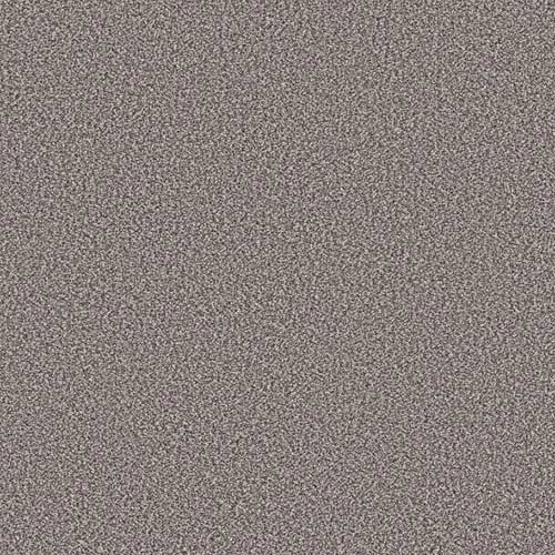 Stainless carpet swatch