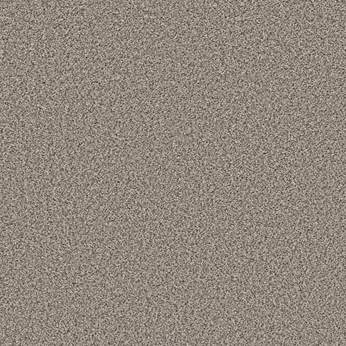 Stainless carpet swatch