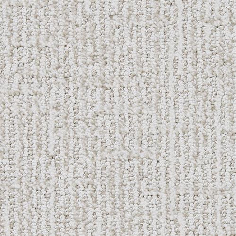 Insightful Carpet Swatch